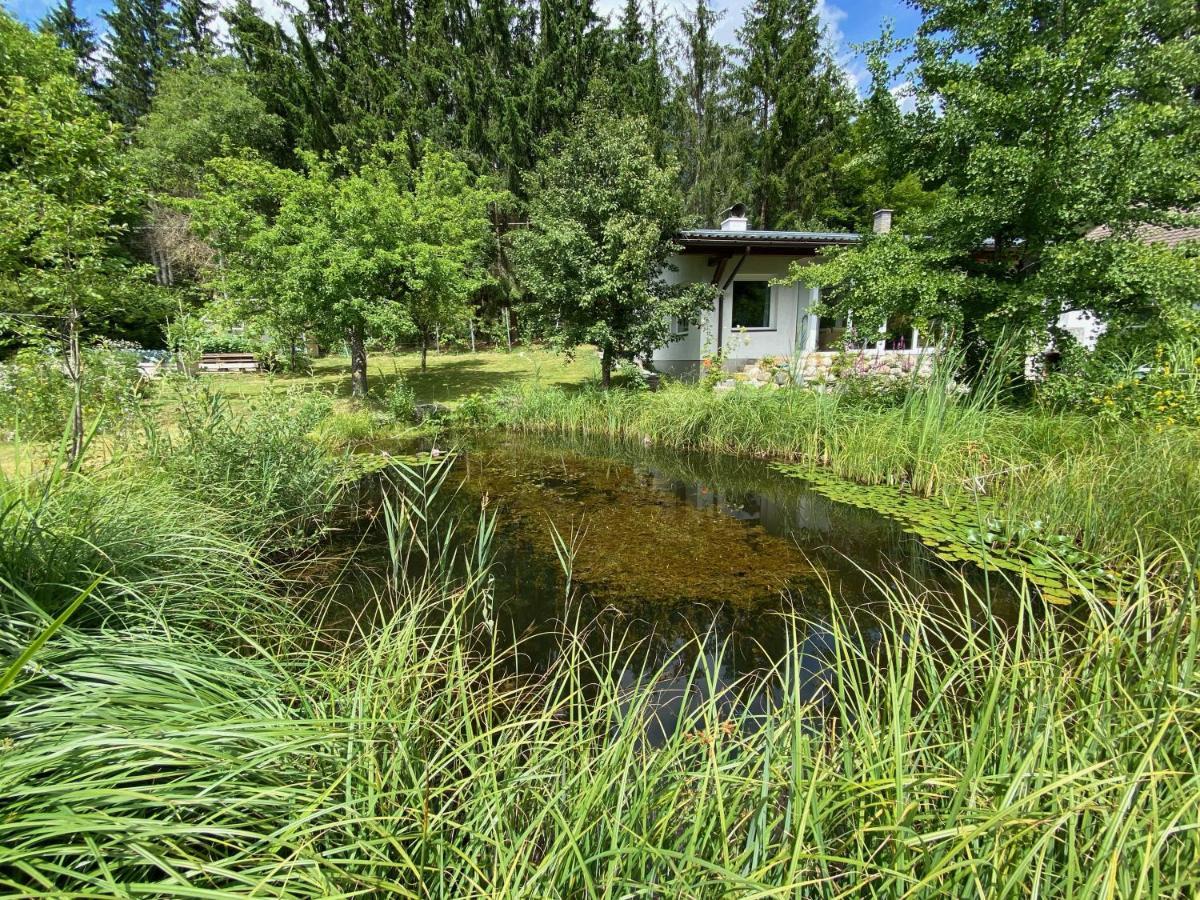 Bungalow Grabner Hermagor-Pressegger See Exterior photo